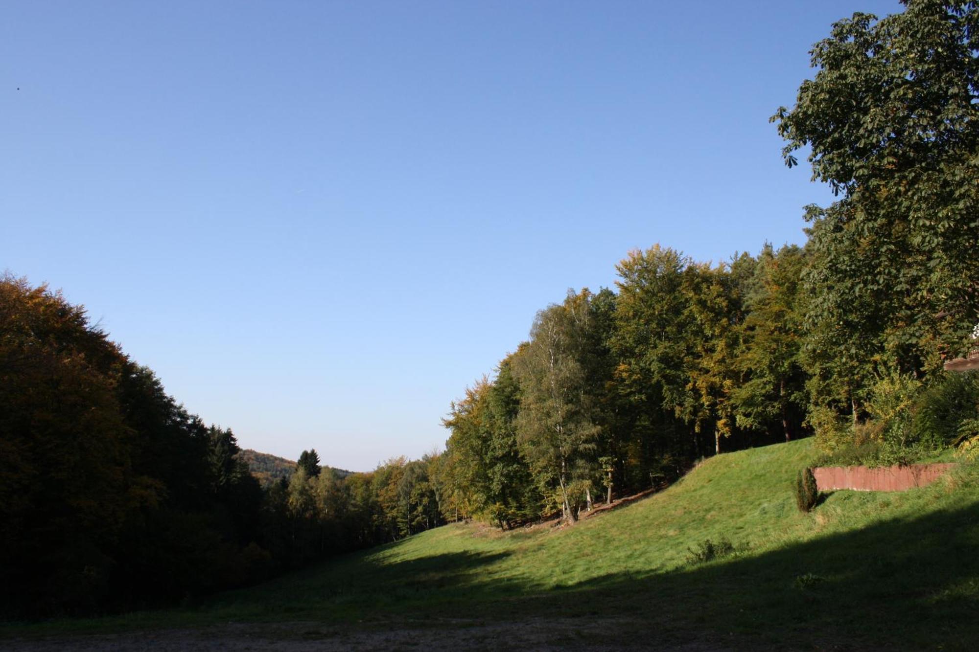 Wald-Hotel Heppe Dammbach Kültér fotó