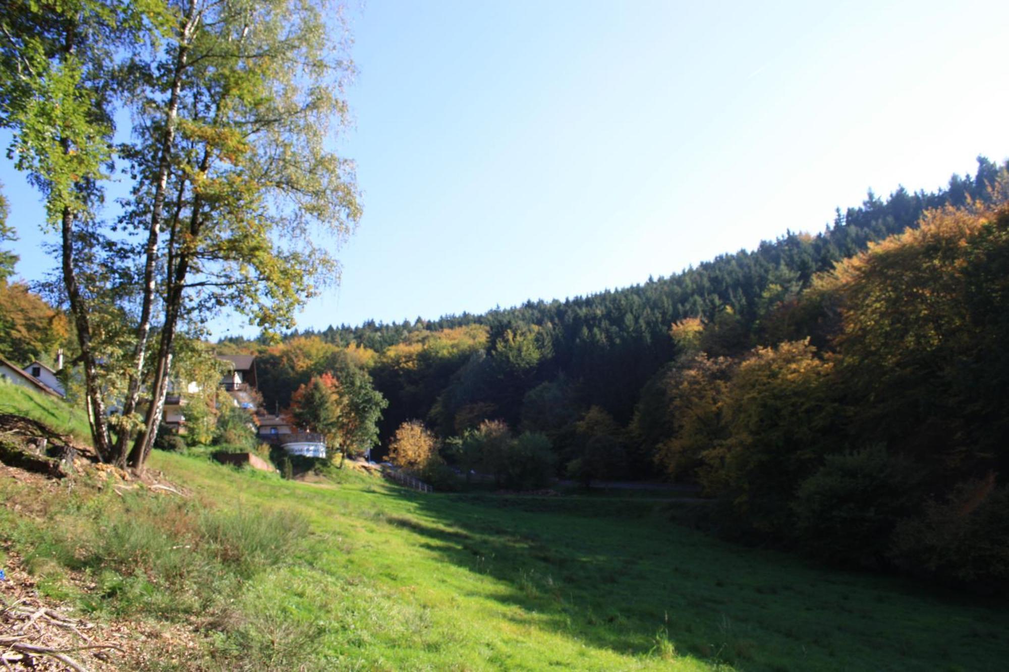 Wald-Hotel Heppe Dammbach Kültér fotó