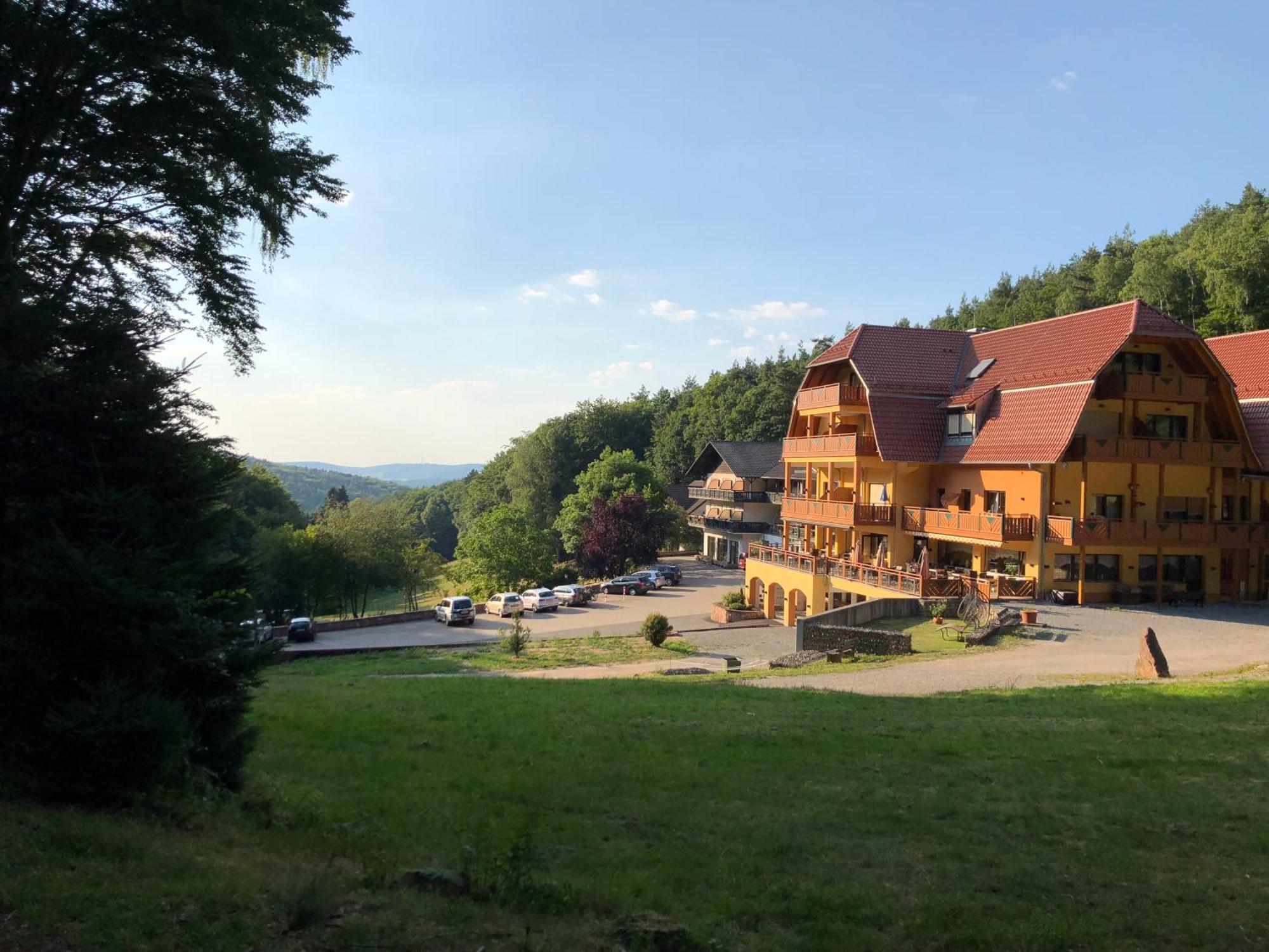 Wald-Hotel Heppe Dammbach Kültér fotó
