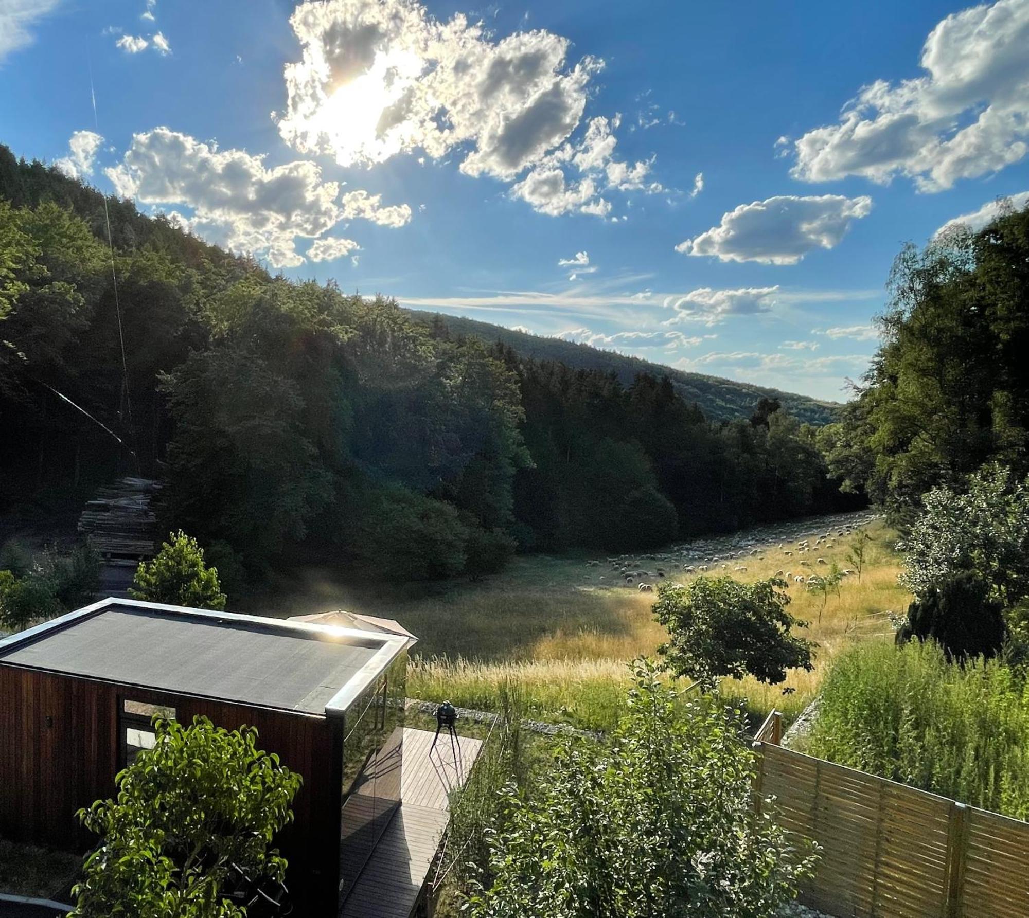Wald-Hotel Heppe Dammbach Kültér fotó